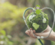 Eco-Friendly & Sustainable Healthcare Products
